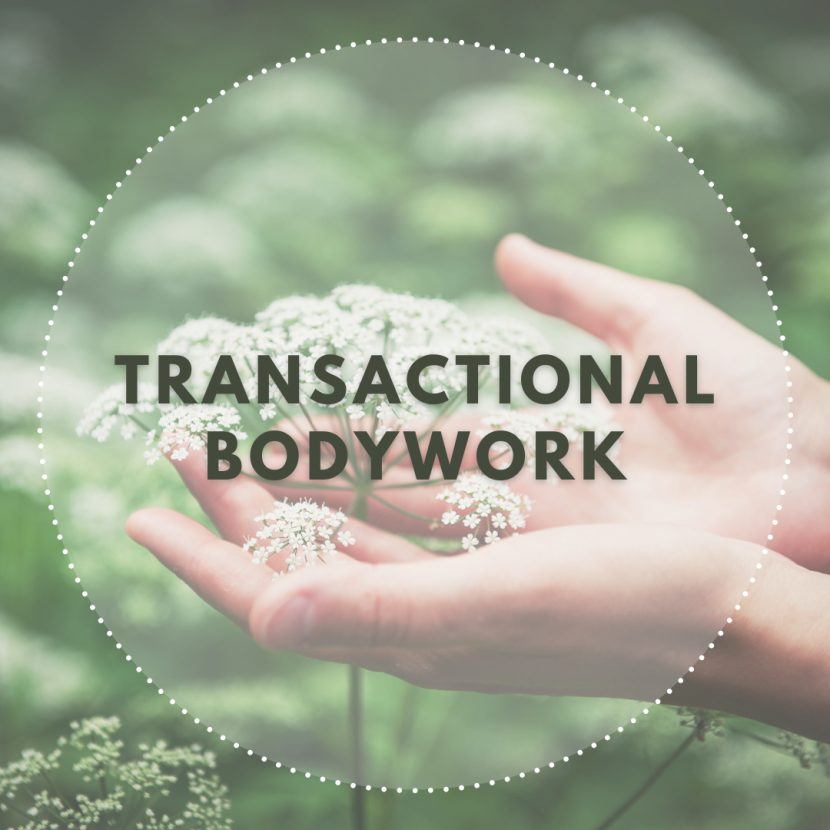Transactional Bodywork